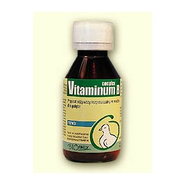 Vitaminum B complex dla gołębi